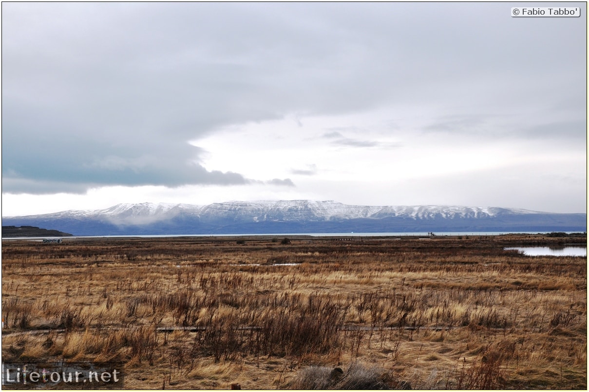 Fabios-LifeTour-Argentina-2015-July-August-El-Calafate-Reserva-Laguna-Nimez-3815