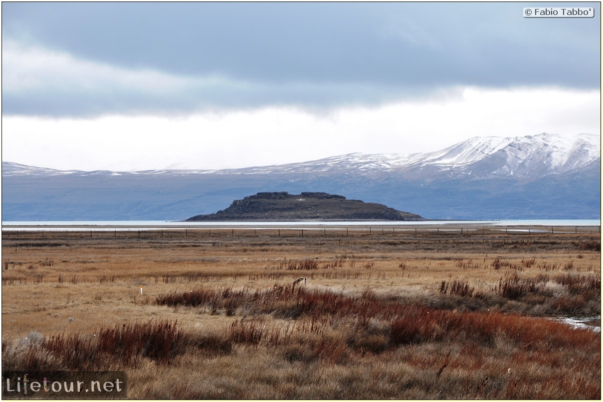 Fabios-LifeTour-Argentina-2015-July-August-El-Calafate-Reserva-Laguna-Nimez-4843