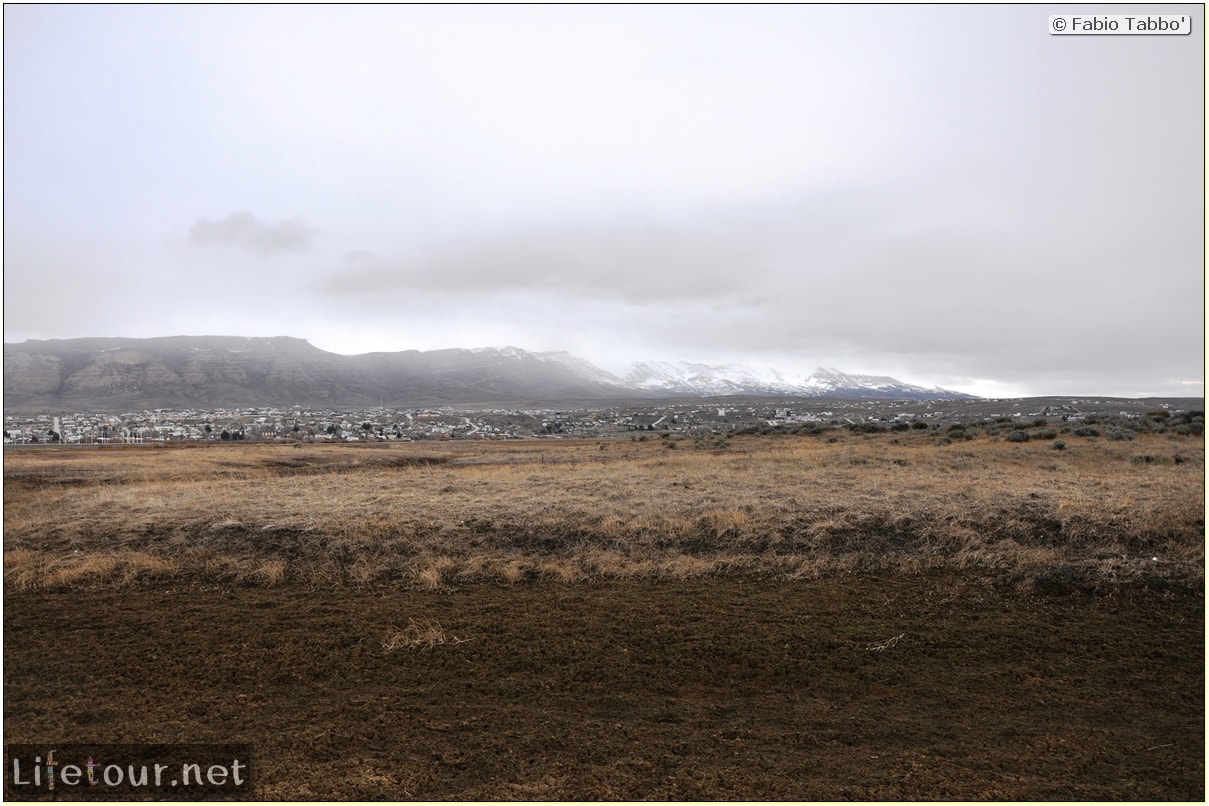 Fabios-LifeTour-Argentina-2015-July-August-El-Calafate-Reserva-Laguna-Nimez-6874