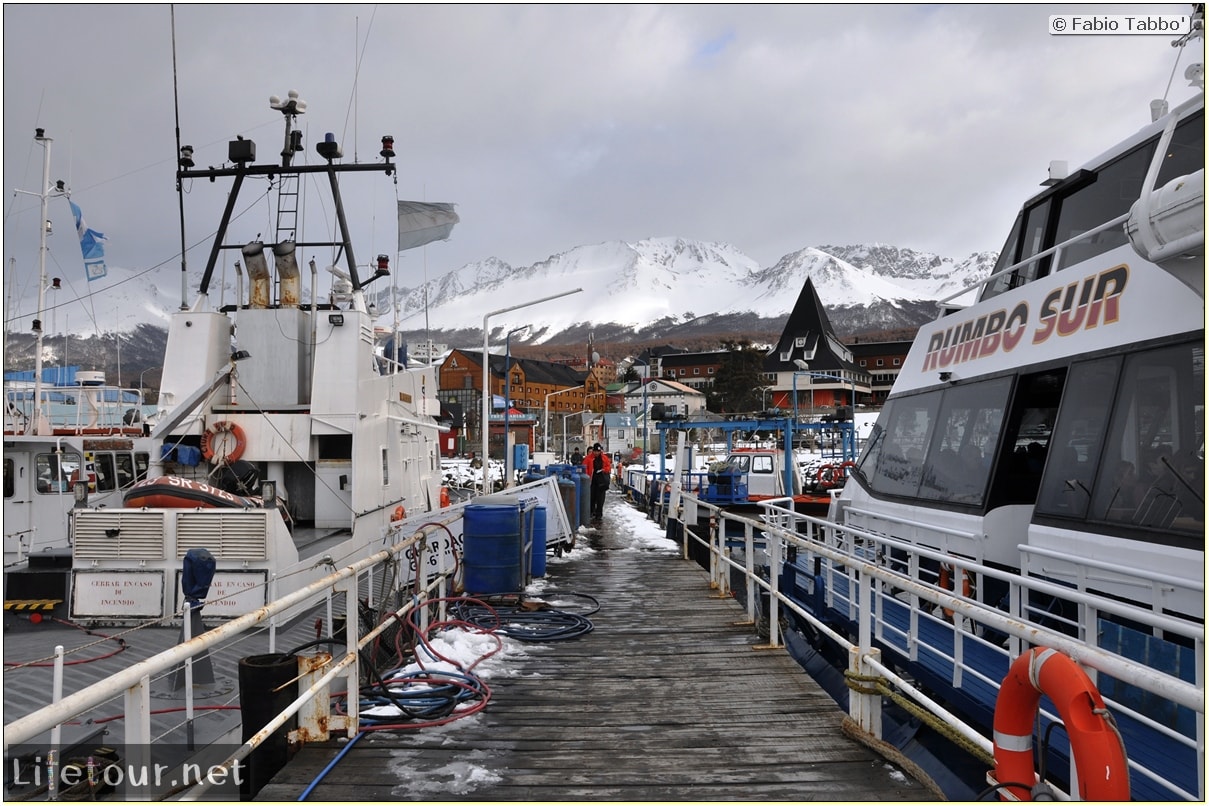 Fabios-LifeTour-Argentina-2015-July-August-Ushuaia-Beagle-Channel-1-boat-trip-in-the-Beagle-Channel-1636