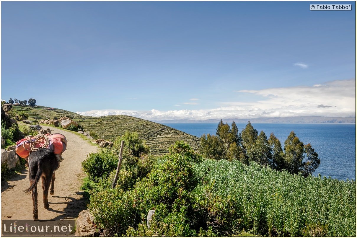 Fabio_s-LifeTour---Bolivia-(2015-March)---Titicaca---Titicaca-Lake---1.-Isla-del-sol---7286