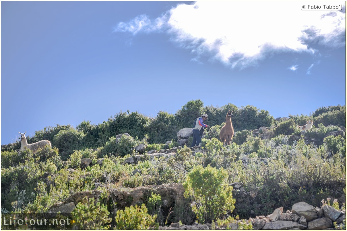 Fabio_s-LifeTour---Bolivia-(2015-March)---Titicaca---Titicaca-Lake---1.-Isla-del-sol---7565