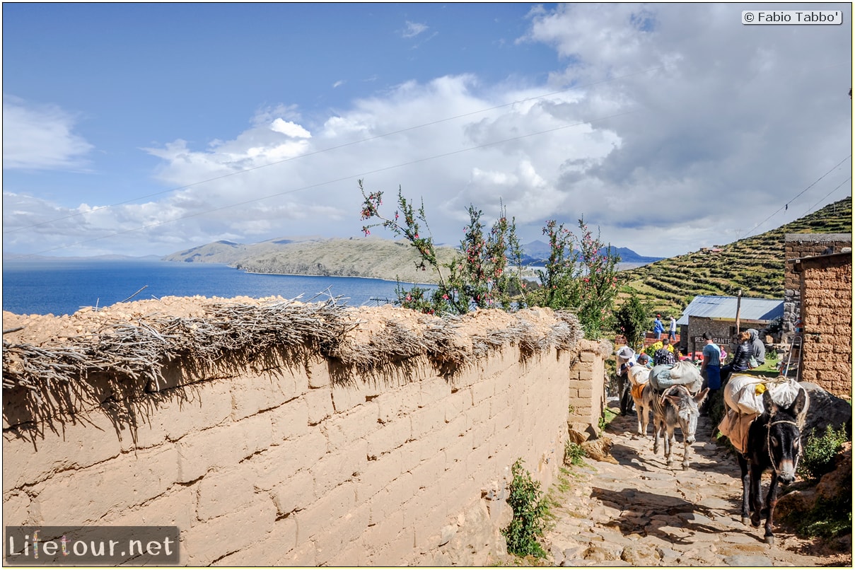 Fabio_s-LifeTour---Bolivia-(2015-March)---Titicaca---Titicaca-Lake---1.-Isla-del-sol---8115