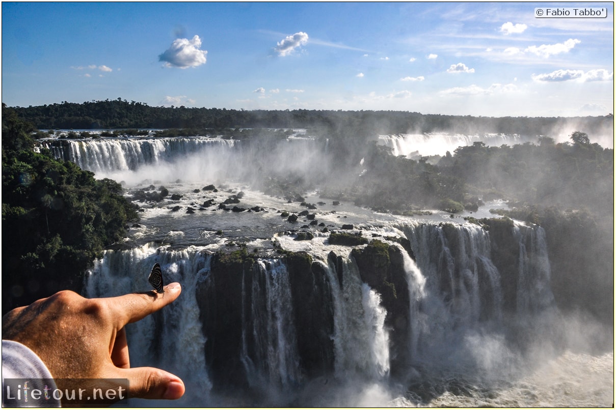 Fabio's LifeTour - Brazil (2015 April-June and October) - Iguazu falls - The butterflies - 6048 cover