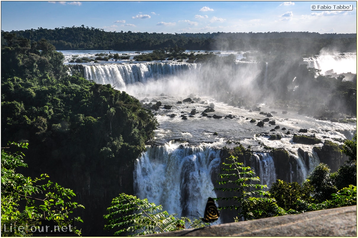 Fabio's LifeTour - Brazil (2015 April-June and October) - Iguazu falls - The butterflies - 7496