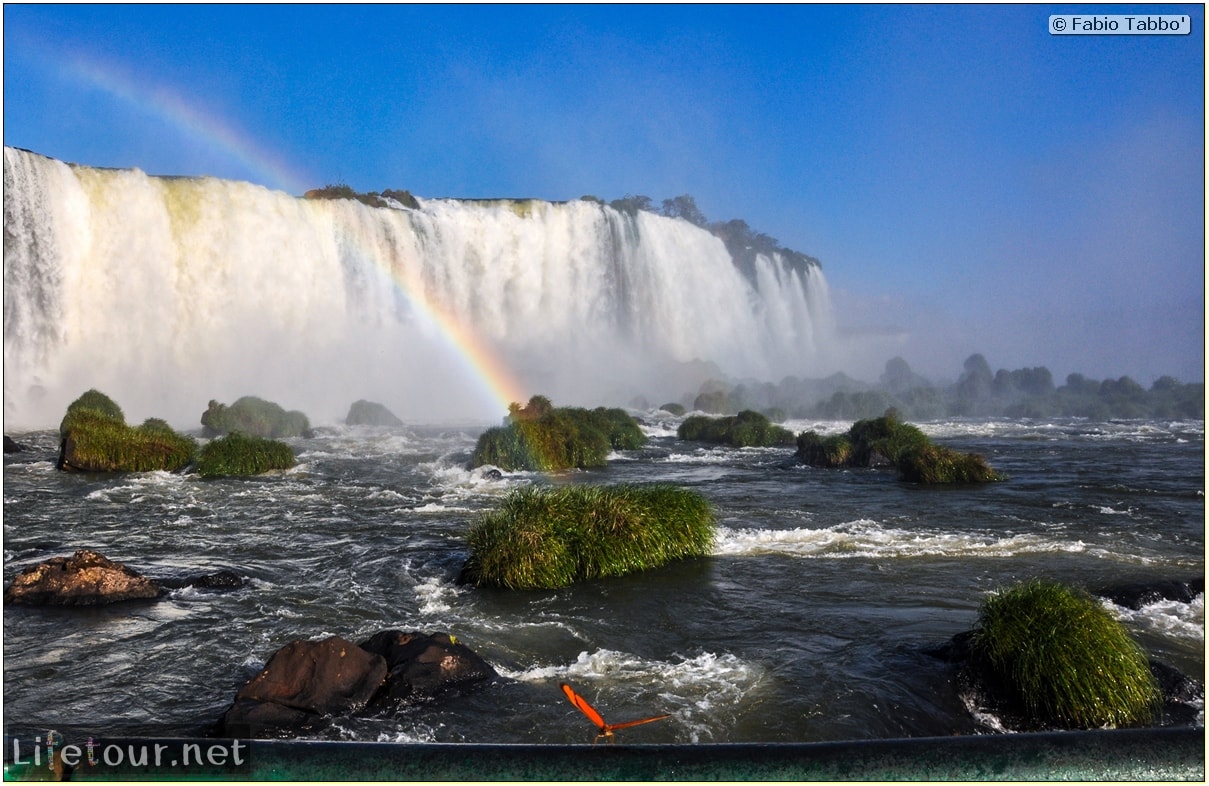 Fabio's LifeTour - Brazil (2015 April-June and October) - Iguazu falls - The butterflies - 8392 cover