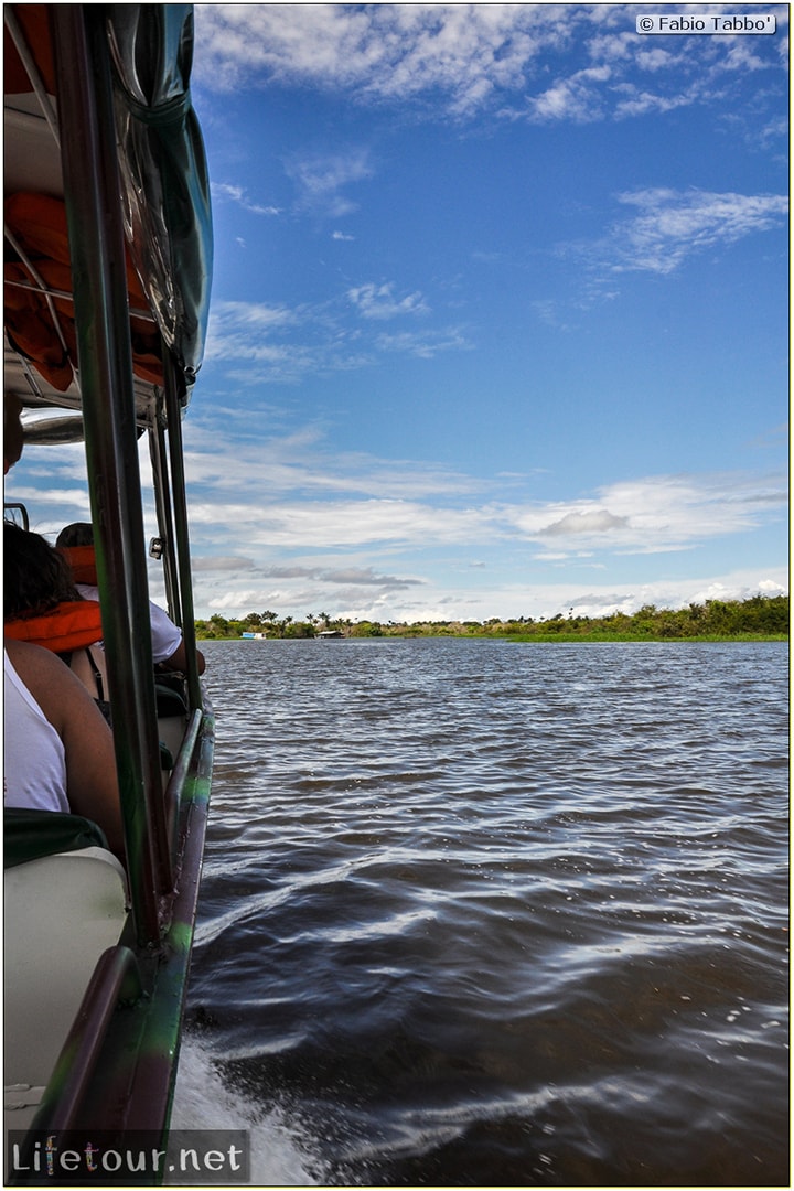 Fabio's LifeTour - Brazil (2015 April-June and October) - Manaus - Amazon Jungle - Encontro de Agua - 10280