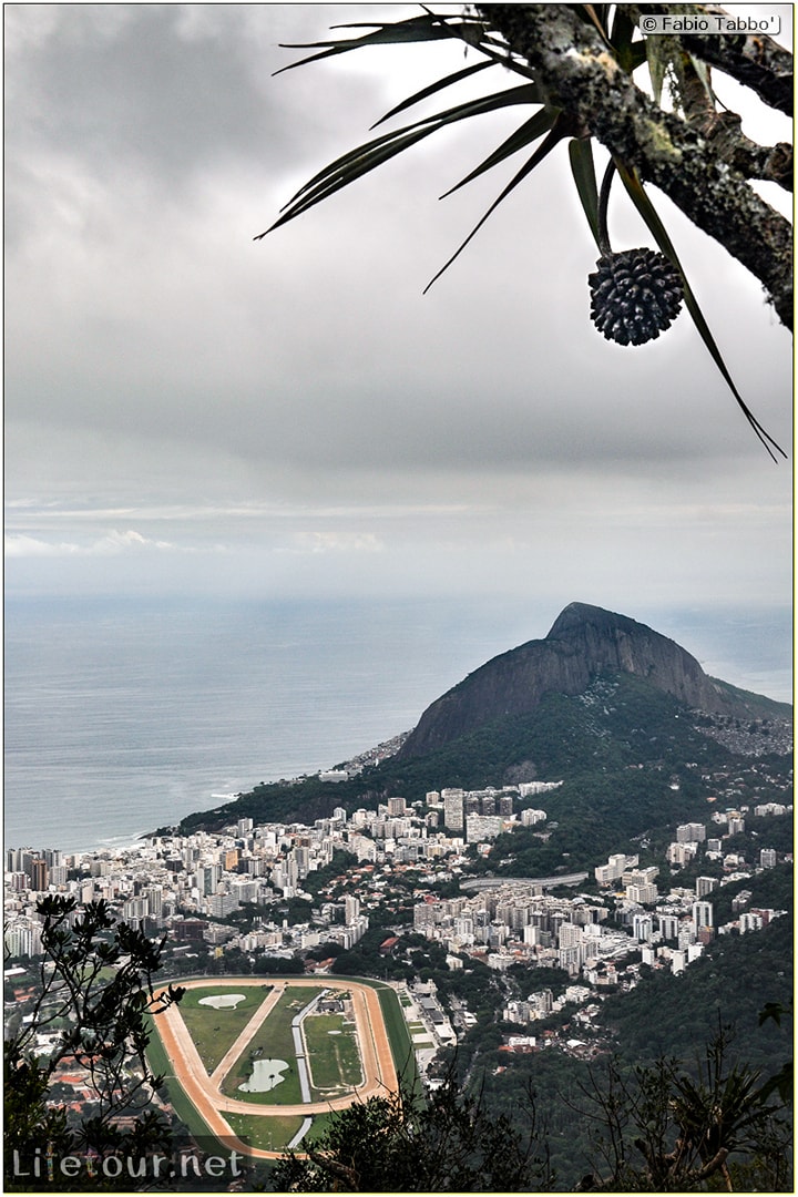 Fabio's LifeTour - Brazil (2015 April-June and October) - Rio De Janeiro - Corcovado - Level 2 - Christ statue - 7674