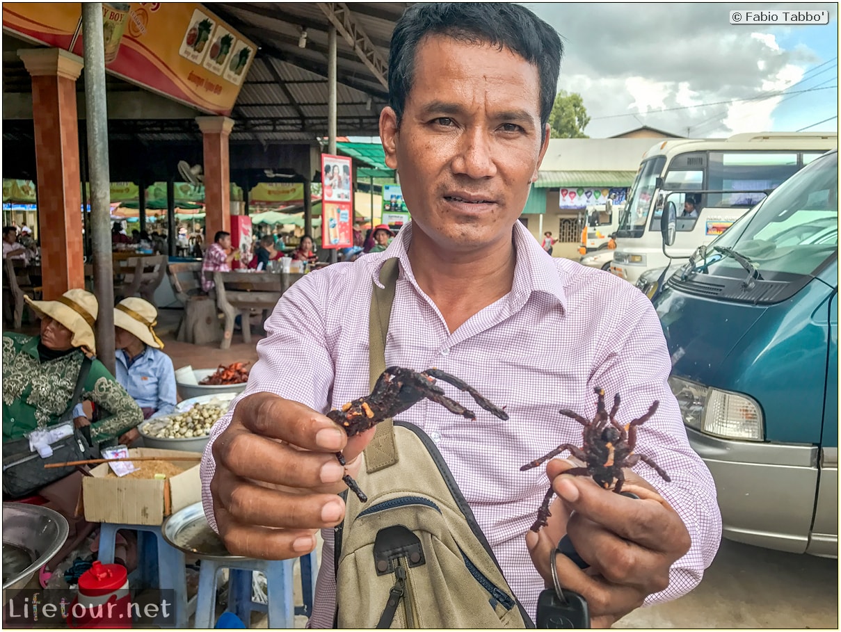 Fabio_s-LifeTour---Cambodia-(2017-July-August)---Skun---Playing-with-tarantulas-(and-eating-them-afterwards)---18388