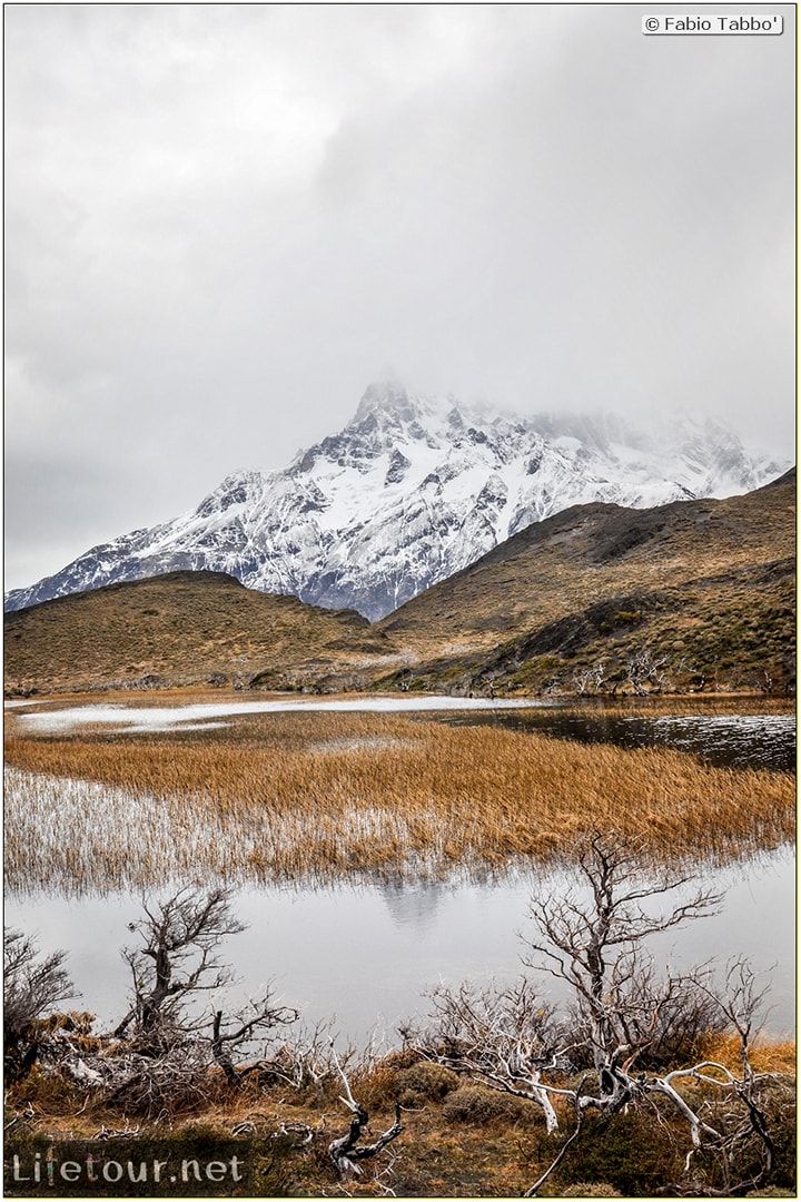 Fabio_s-LifeTour---Chile-(2015-September)---Torres-del-Paine---Ghost-forest---11893