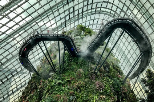 Singapore-Gardens-by-the-Bay-Cloud-Forest-17937 COVER