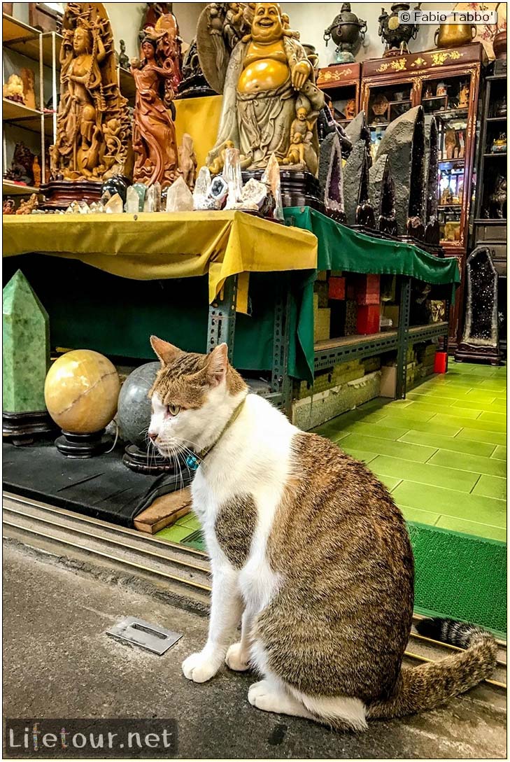 Taiwan 2018-Jiufen-Jiufen Old Street-105