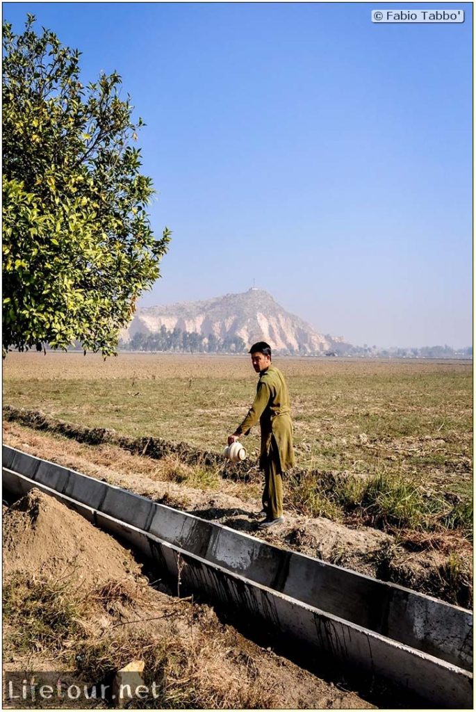 2. Cereal Crops Research Institute • Fabio’s LifeTour